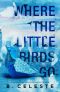 [Little Bird Duet 01] • Where the Little Birds Go